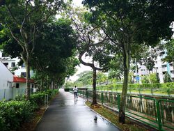 Neem Tree (D12), Apartment #613228591